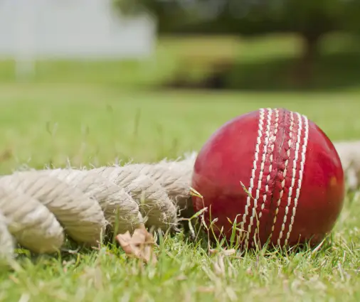 A history of cricket betting