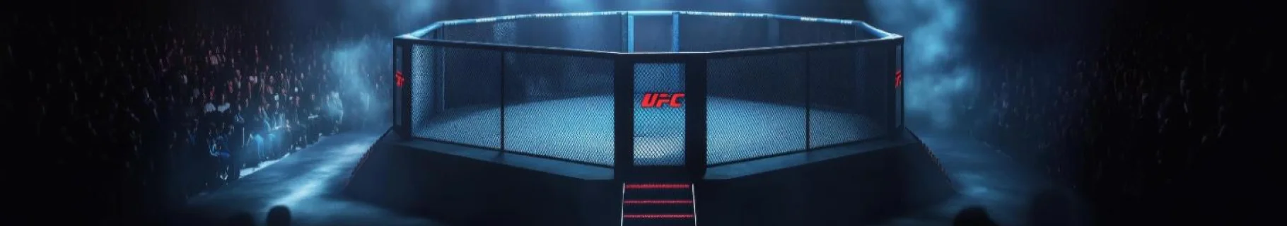 UFC Betting Rules Explained