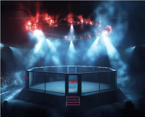 UFC Betting Rules Explained