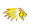   lions_logo